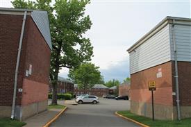 IMG_1250